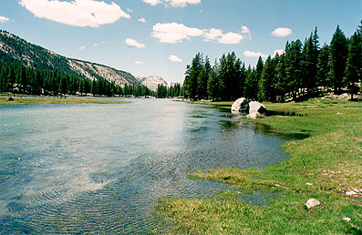 Yosemite National Park